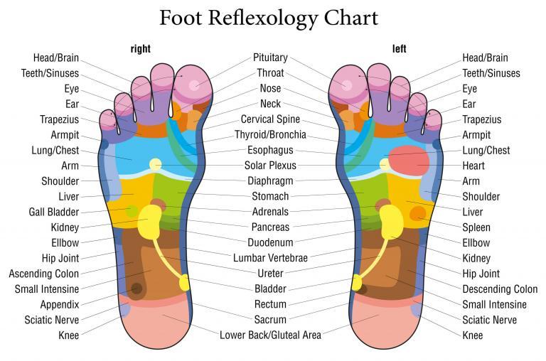 Foot reflexology pressure points